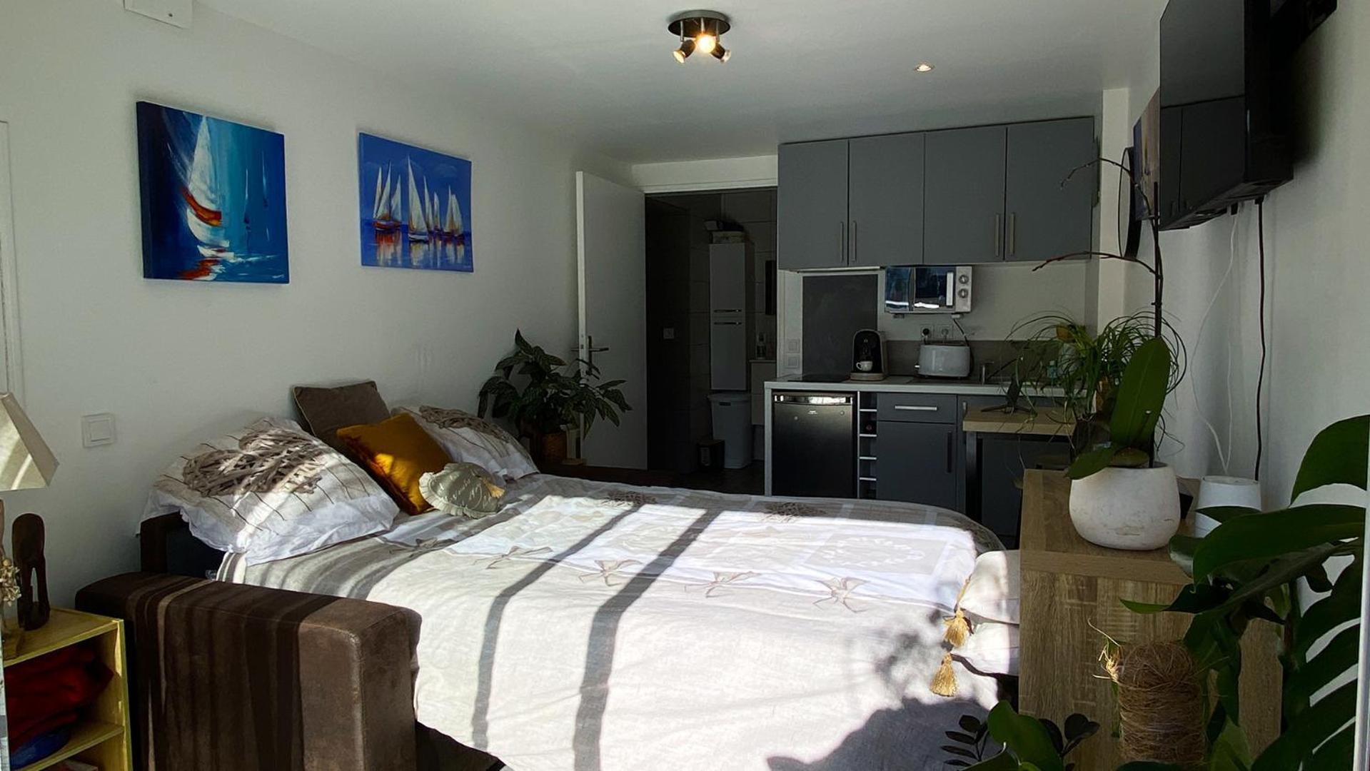 Studio Clair, Climatise Avec Jardin Et Parking ペルピニャン エクステリア 写真