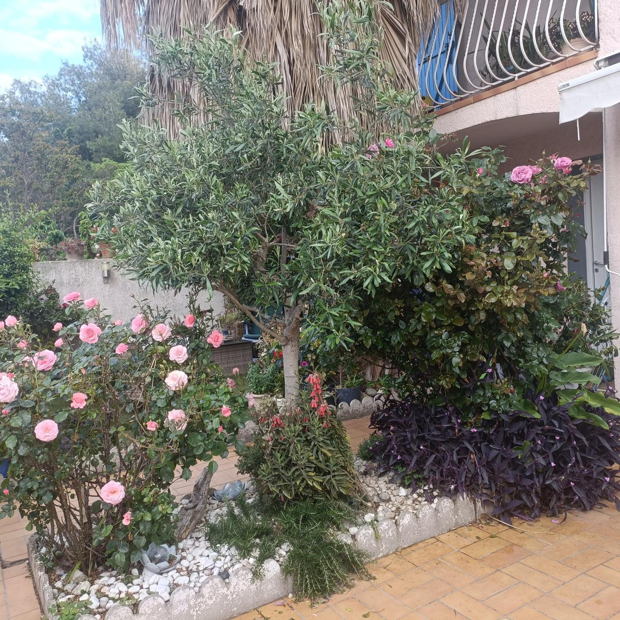 Studio Clair, Climatise Avec Jardin Et Parking ペルピニャン 部屋 写真